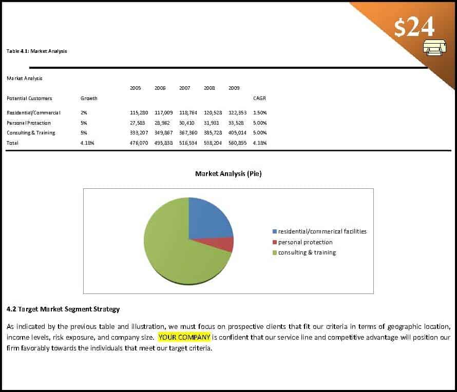 security company business plan