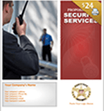 security company business plan word